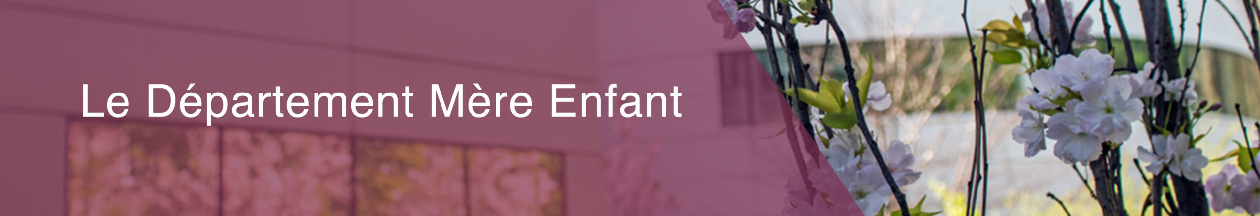 BANDEAU-DEPARTEMENT-MERE-ENFANT_V04